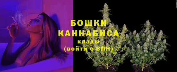 MDMA Premium VHQ Каменногорск