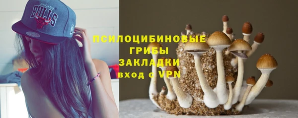 дживик Каменск-Шахтинский