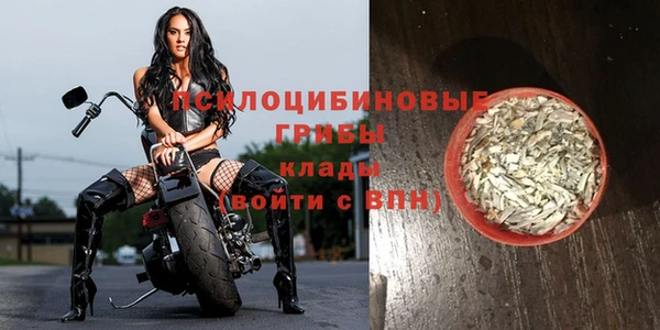 MDMA Premium VHQ Каменногорск
