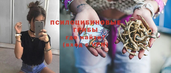 дживик Каменск-Шахтинский